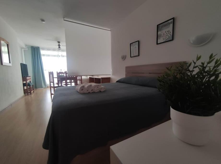 Roquetas Costa Apartment Roquetas de Mar Ngoại thất bức ảnh